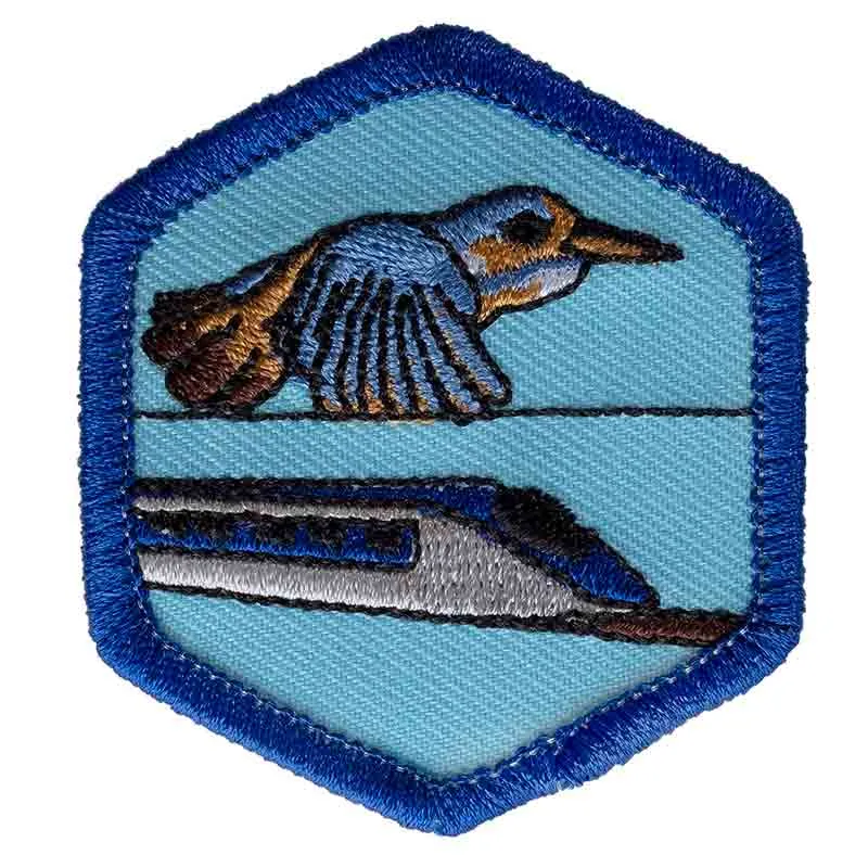 Biomimicry Badge