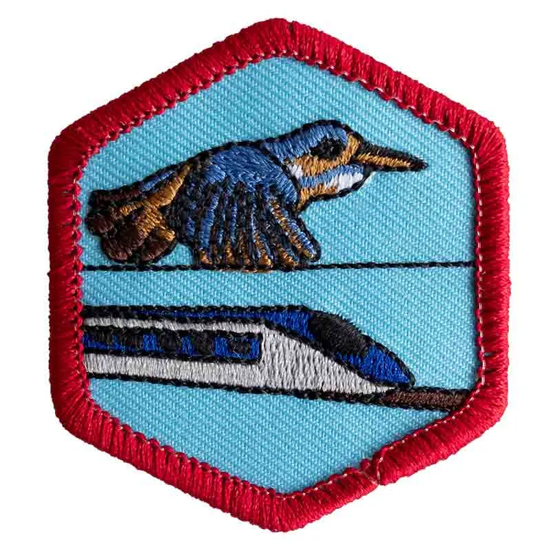 Biomimicry Badge