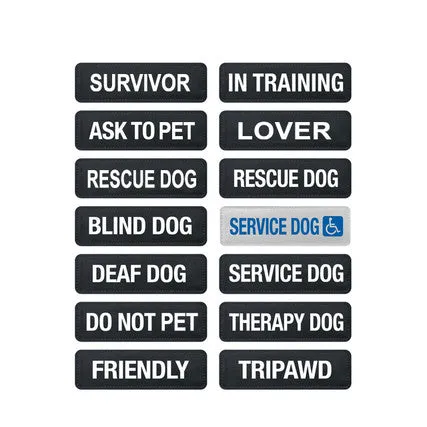 Ezydog Side Badge Ask to Pet For Dogs L