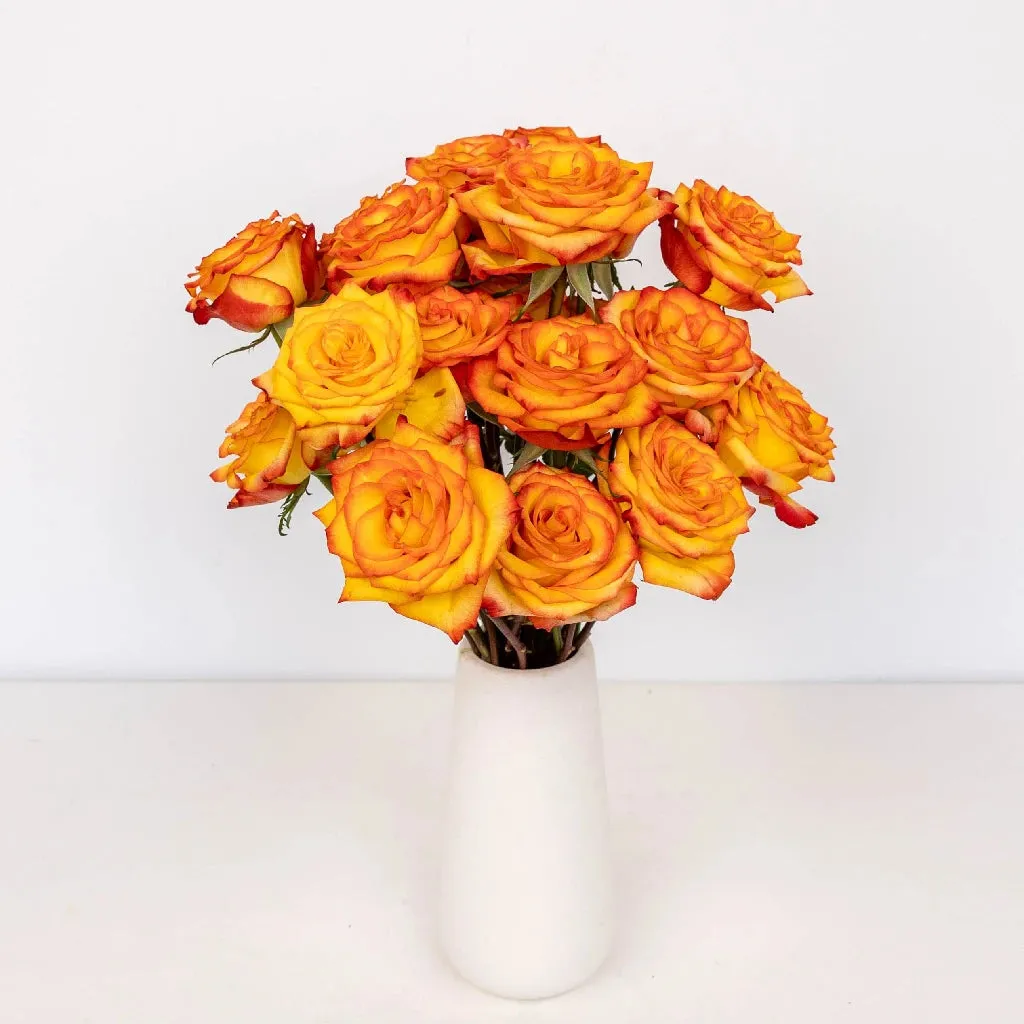 High and Magic Yellow and Red Rose