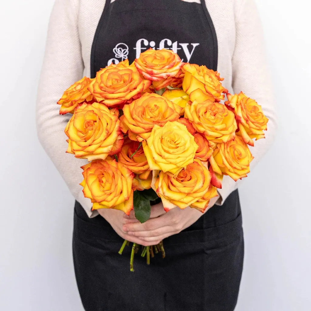 High and Magic Yellow and Red Rose