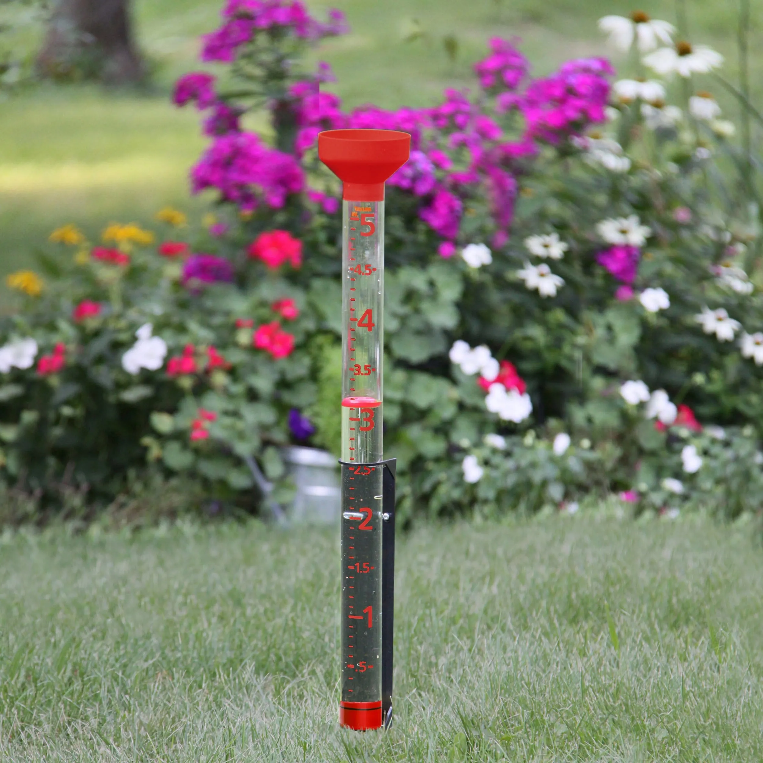 Jumbo Jr. Easy-to-View Rain Gauge