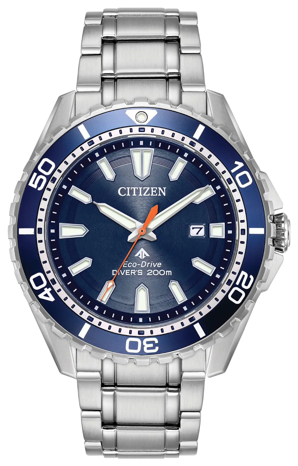 PROMASTER DIVER BN0191-55L
